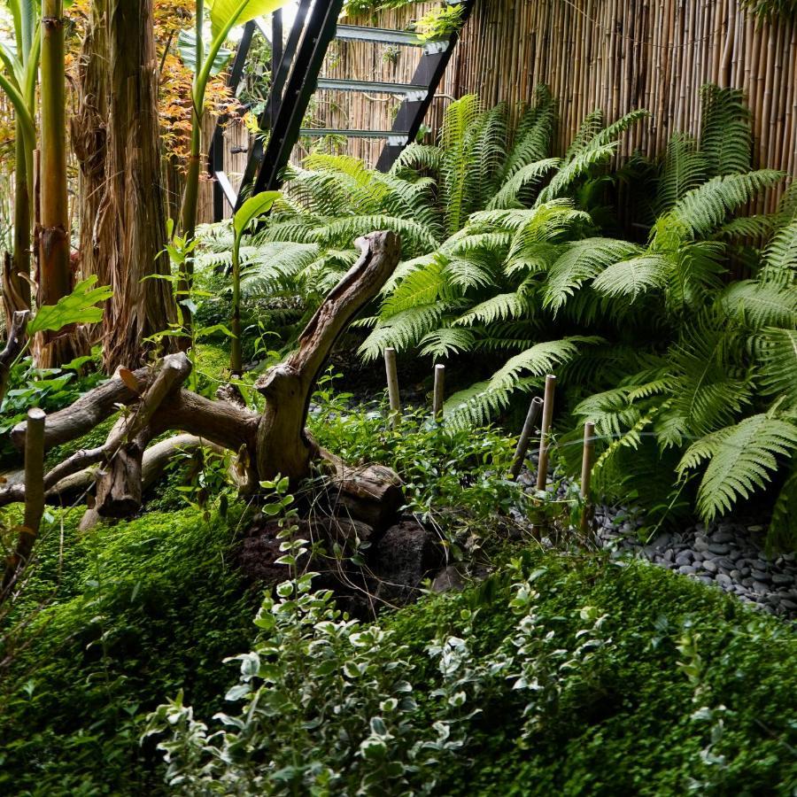 Jungle Stay In A Hidden Paradise Звейндрехт Экстерьер фото